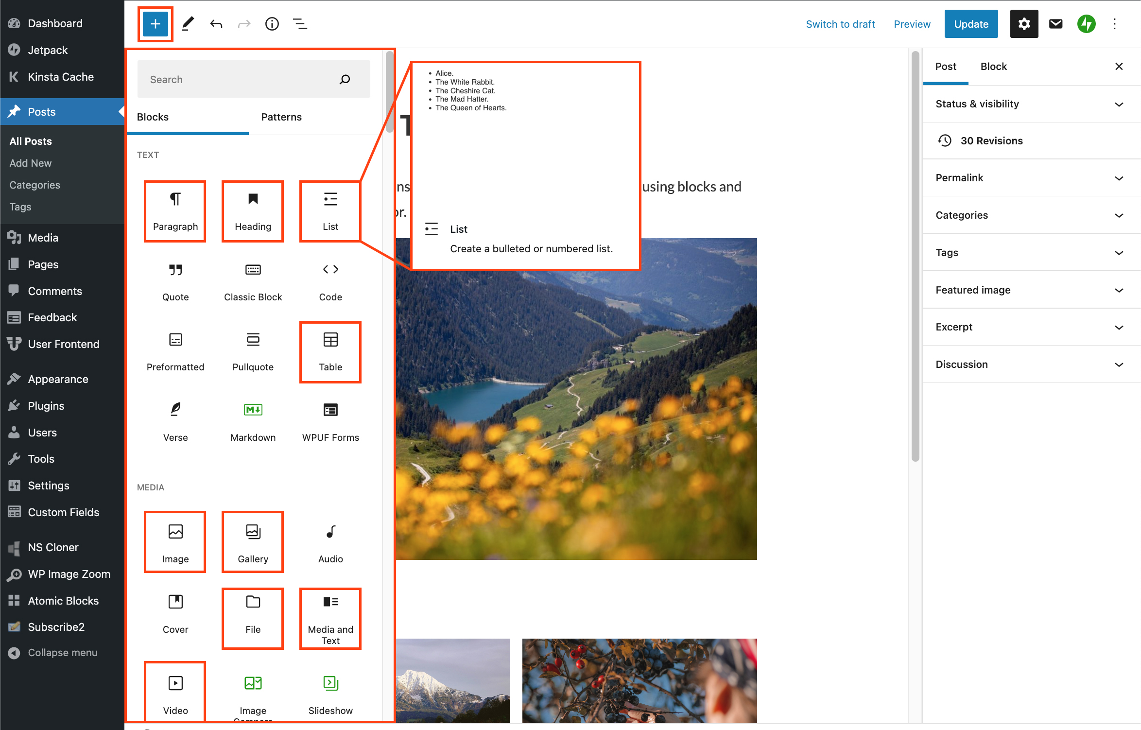 Screenshot of the Gutenberg editor, where highlighted are the added block, common blocks and block descriptions.