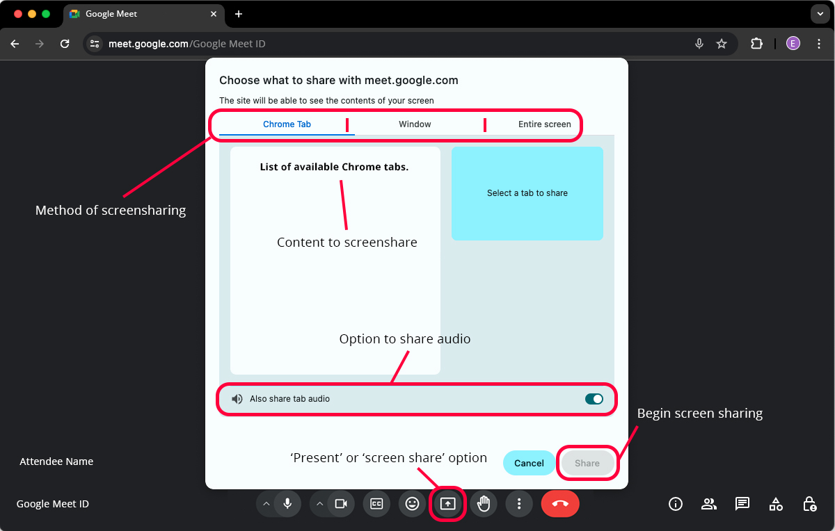 Screenshot demonstrating the screen sharing options in Google Meet.